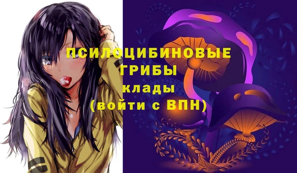 ПСИЛОЦИБИНОВЫЕ ГРИБЫ Абинск