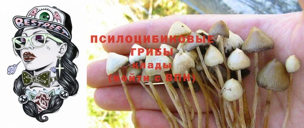 винт Абдулино