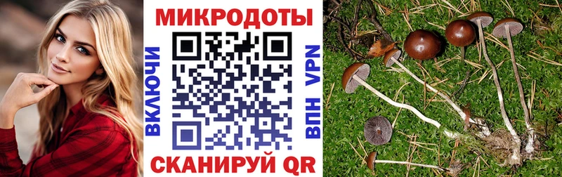 Галлюциногенные грибы мицелий  купить наркоту  Горбатов 